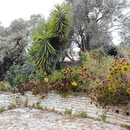 Bonifacio, Maison 90M² Sous Les Oliviers, Vue Sardaigne Bonifacio  Exterior foto