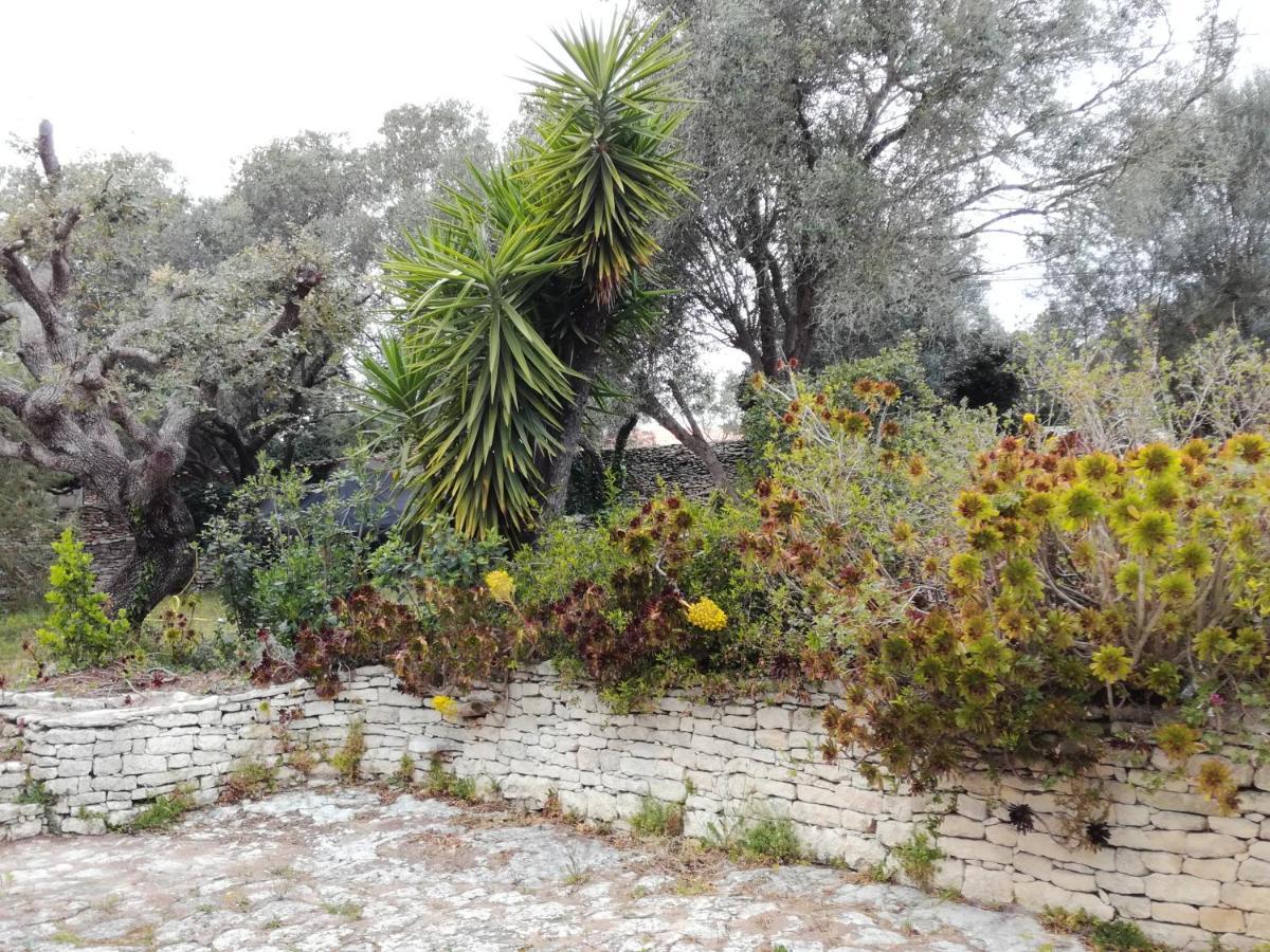 Bonifacio, Maison 90M² Sous Les Oliviers, Vue Sardaigne Bonifacio  Exterior foto